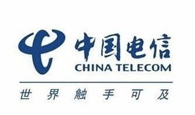 中國電信新一輪機構(gòu)改革 地級市公司邁向銷售服務(wù)新定位